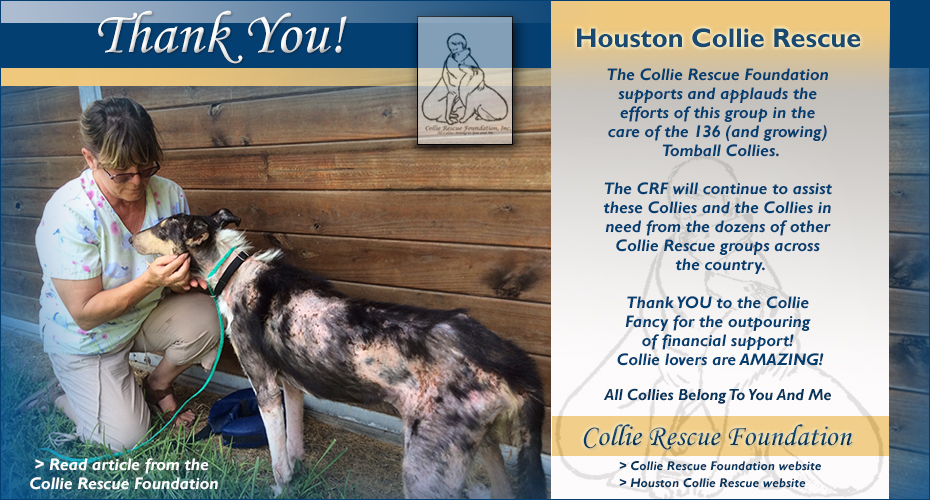 Collie Rescue Foundation -- The Collie Rescue Story Of Sammy by Ace Collins
