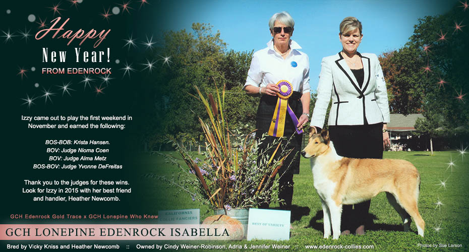 Edenrock Collies -- GCH Lonepine Edenrock Isabella