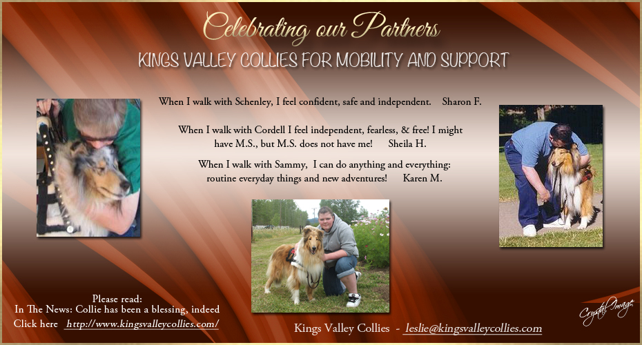 Kings Vallley Collies -- For Mobility and Support
