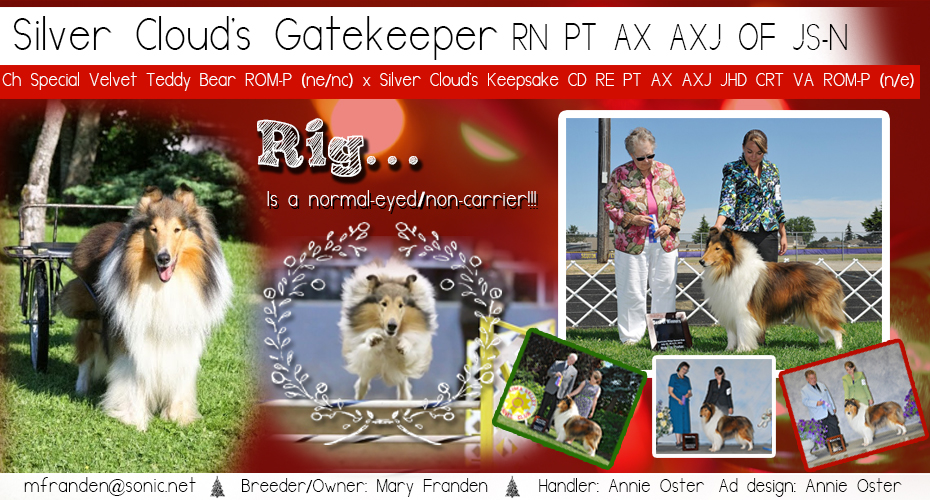 Mary Franden -- Silver Cloud's Gatekeeper RN PT AX AXJ OF JS-N