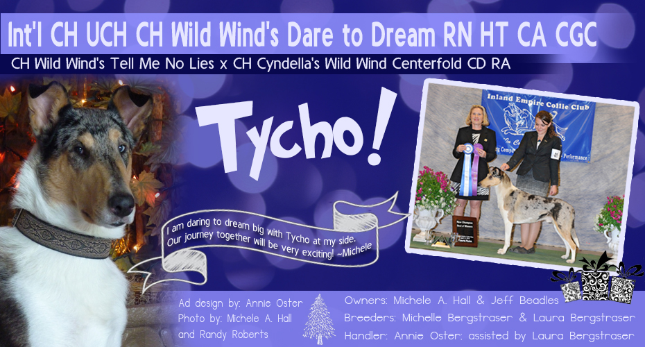 Michele Hall and Jeff Beadles -- Int'l CH UCH CH Wild Wind's Dare To Dream RN HT CA CGC