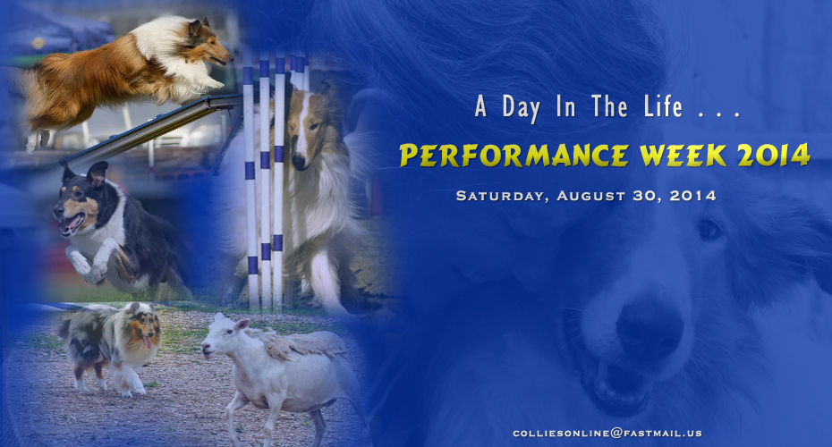 Performance Week 2014 -- A Day In The Life . . .