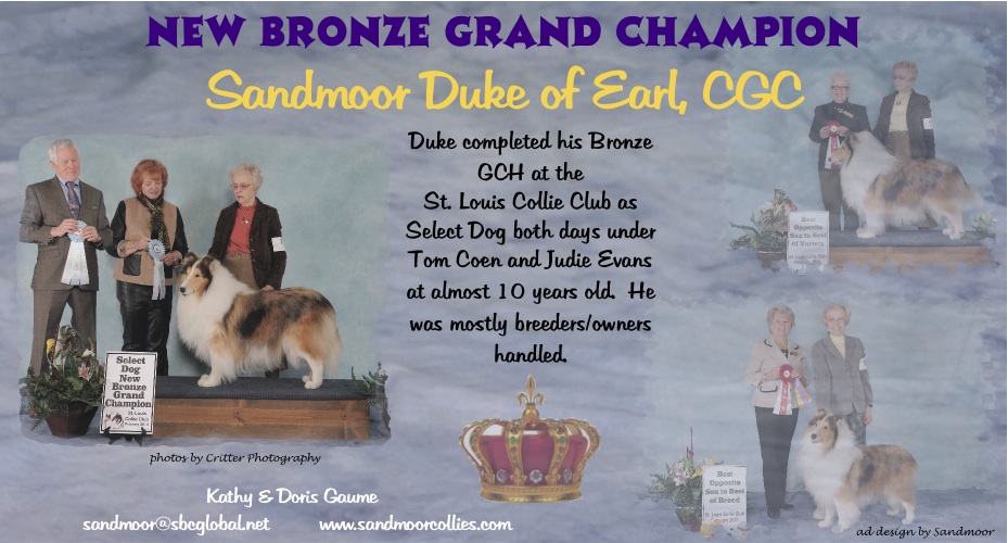 Sandmoor Collies --  Bronze GCH Sandmoor Duke Of Earl CGC