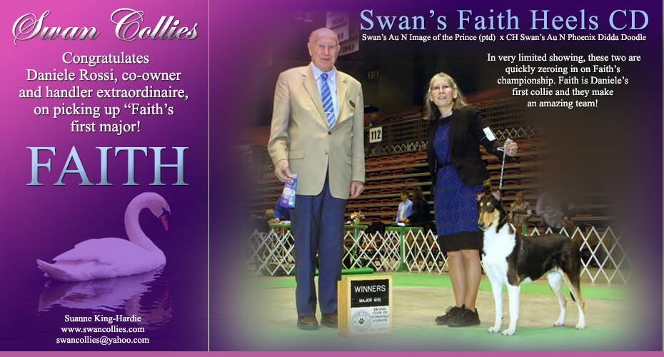 Swan Collies -- Swan's Faith Heels CD