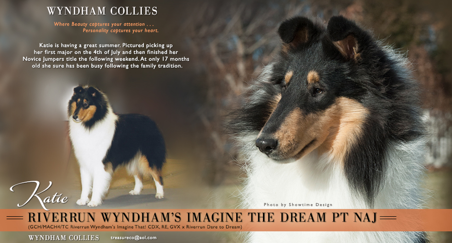 Wyndham Collies -- Riverrun Wyndham's Imagine The Dream PT NAJ