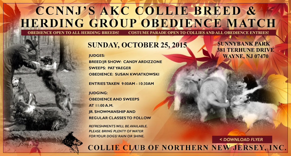 Collie Club of Northern New Jersey -- 2015 AKC Collie Breed and Herding Group Obedience Match