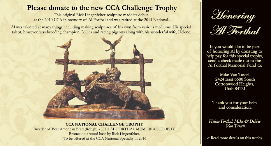 Al Forthal CCA National Challenge Trophy