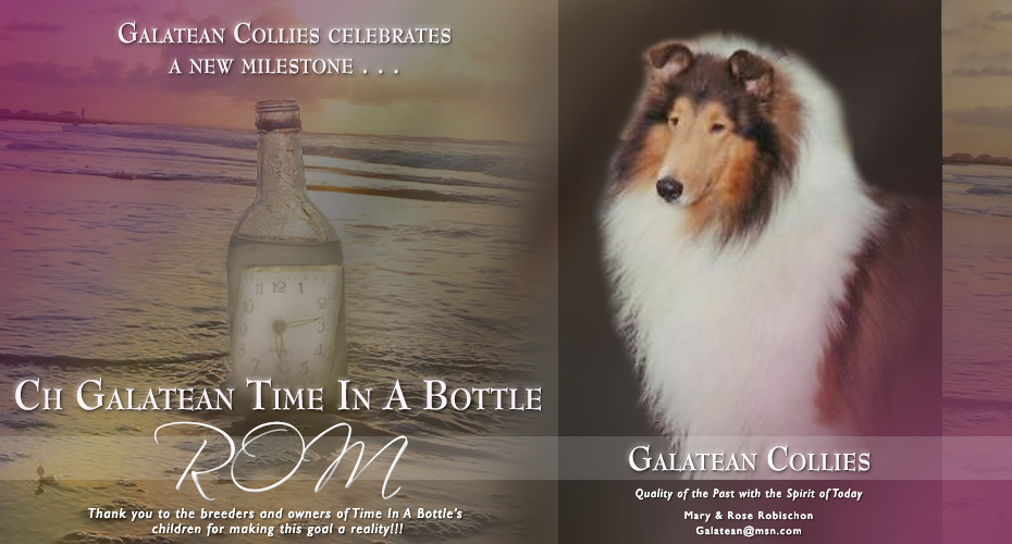 Galatean Collies -- CH Galatean Time In A Bottle ROM