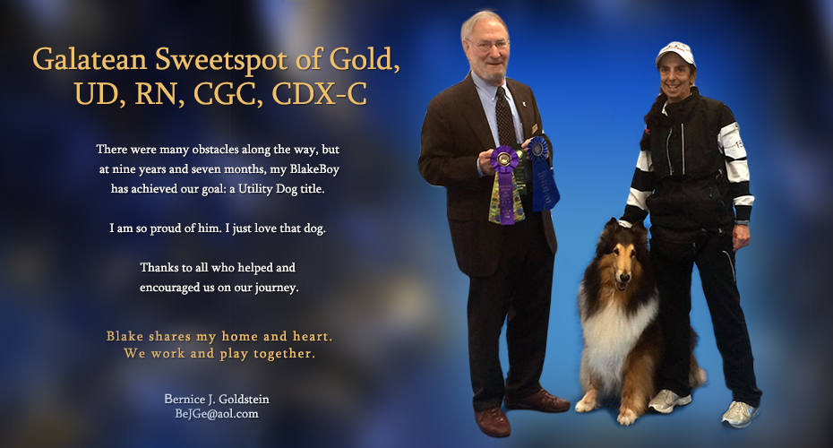 Bernice Goldstein -- Galatean Sweetspot Of Gold UD RN CGC CDX-C