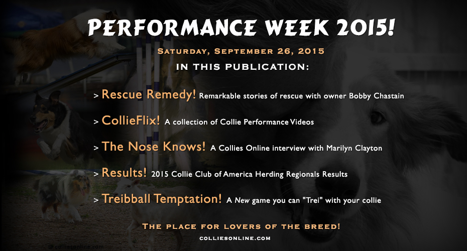 colliesonline.com -- Performance Week 2015 -- In this publication