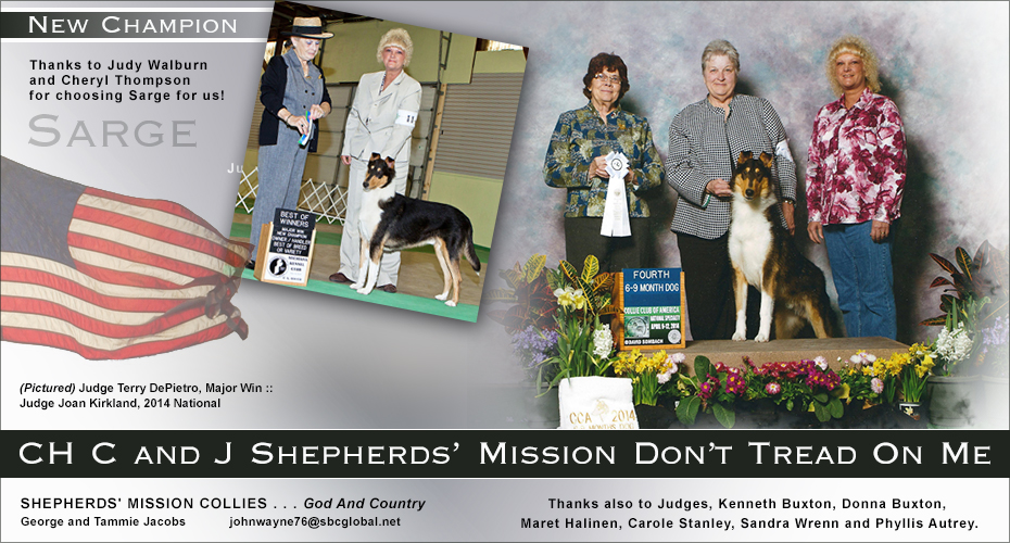 GCH C And J Shepherds' Mission Don't Tread On Me