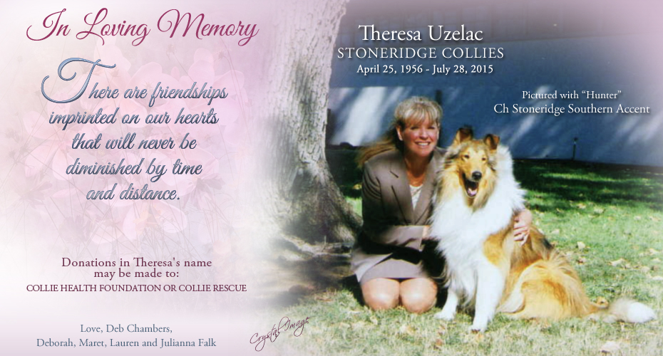 Aurealis Collies / Crystal Image -- In loving Memory of Theresa Uzelac 