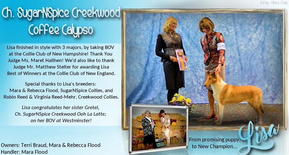 Terri Braud -- CH SugarNSpice Creekwood Coffee Calypso