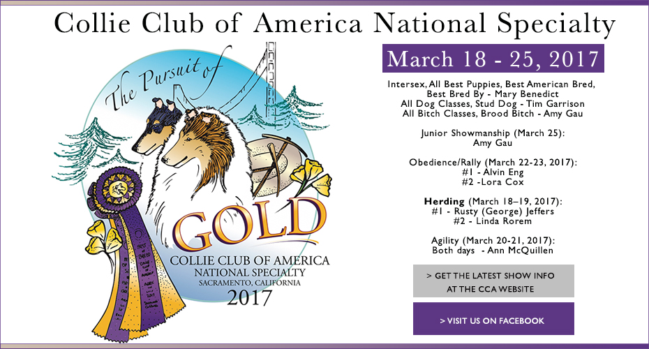 Collie Club of America National Specialty -- 2017 National Specialty