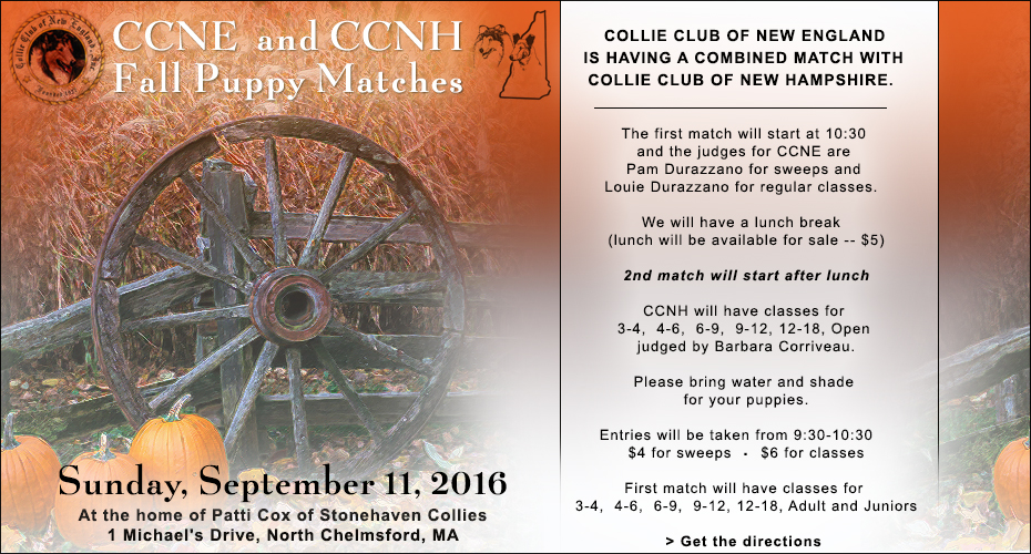 Collie Club of New England / Collie Club of New Hampshire -- 2016 Fall Puppy Matches