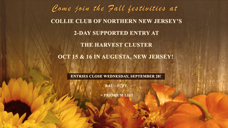 Collie Club Of Northern New Jersey -- 2-Day supported entry at The Harvest Cluster