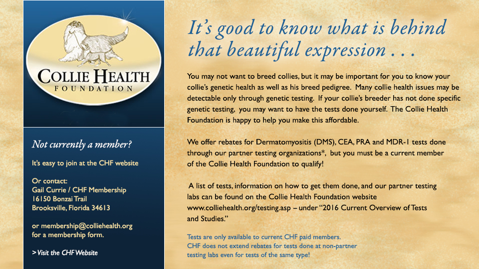 Collie Health Foundation -- Rebates available to CHF Members for Health Tests