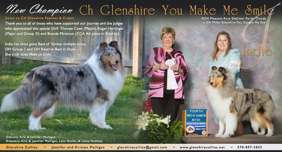 Glenshire Collies -- CH Glenshire You Make Me Smile