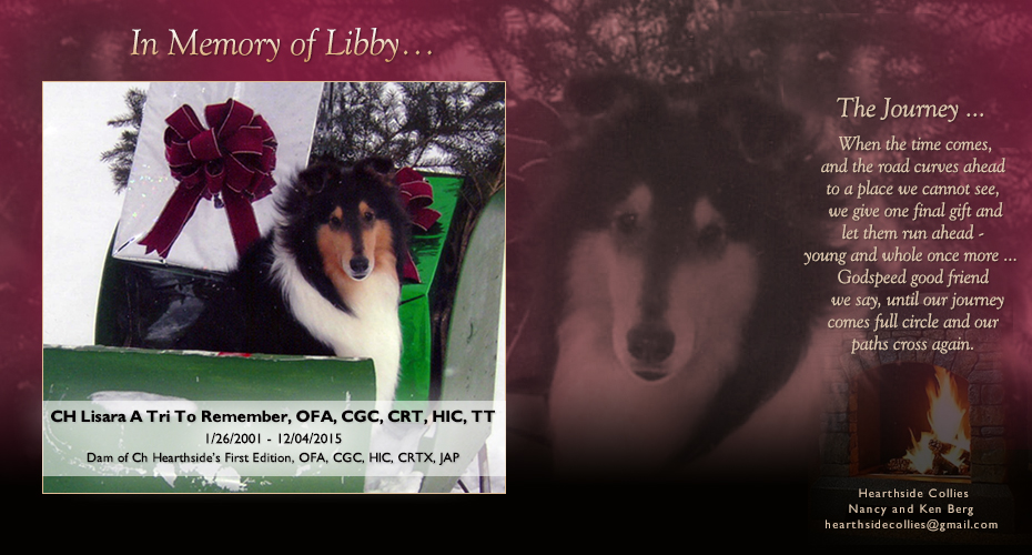 Hearthside Collies -- In memory of CH Lisara's A Tri To Remember OFA CGC CRT HIC TT