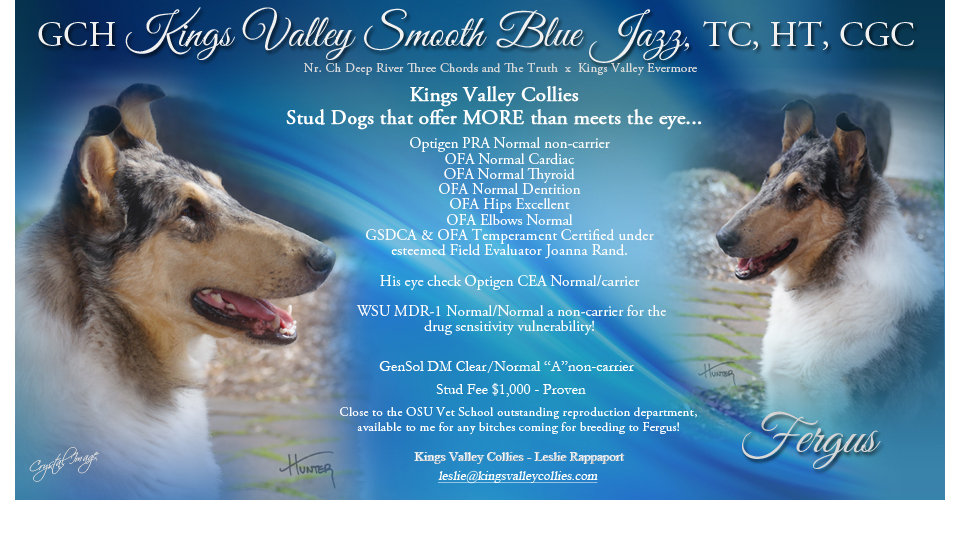 Kings Valley Collies -- GCH Kings Valley Smooth Blue Jazz, TC, HT, CGC