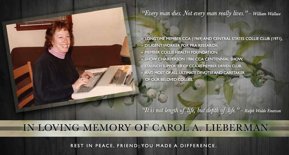 In Loving Memory of Carol A. Lieberman