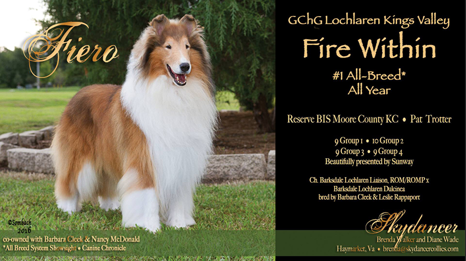 GCH Lochlaren Kings Valley Fire Within