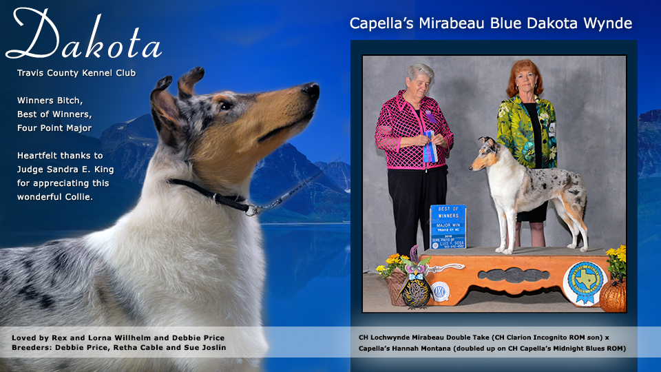 Capella's Mirabeau Blue Dakota Wynde 
