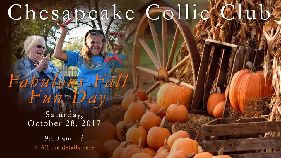 Chesapeake Collie Club -- 2017 Fall Fun Day