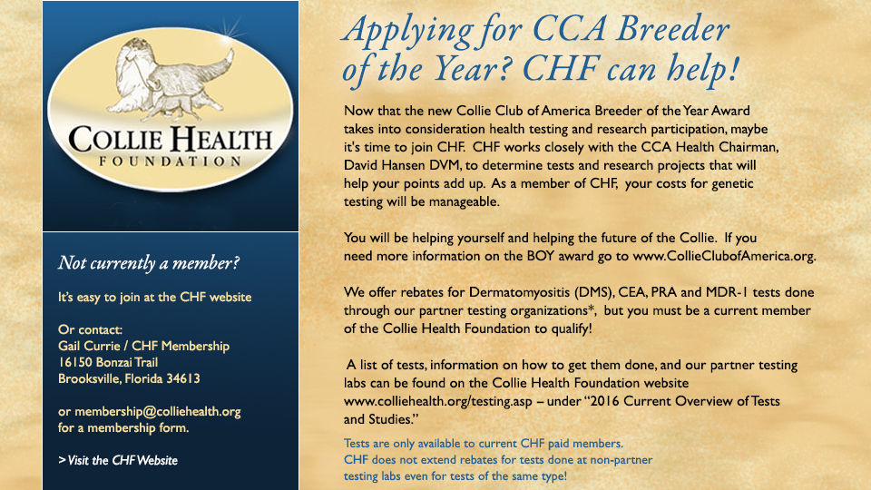 Collie Health Foundation -- CCA Breeder Of The Year Award and how CHF can help
