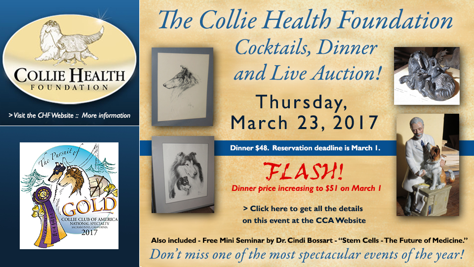 Collie Health Foundation --2017 Dinner and Live Auction