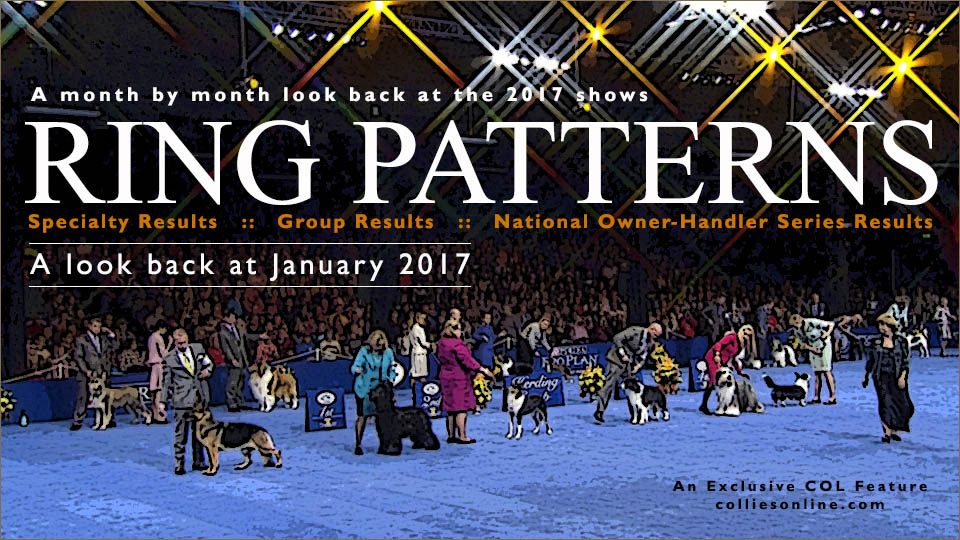 Ring Patterns -  A month by month look back at the 2017 shows