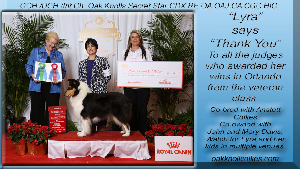 Oak Knoll Collies -- GCH / UCH/Int. CH Oak Knolls Secret Star CDX RE OA OAJ CA CGC HIC