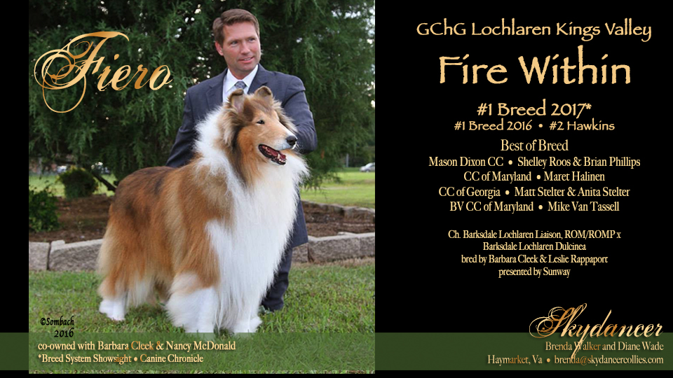 Gold GCH Lochlaren Kings Valley Fire Within