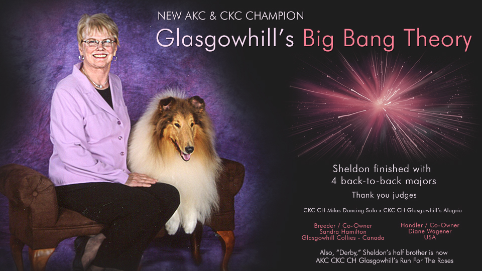 Diane Wagener -- AKC CKC CH Glasgowhill's Big Bang Theory