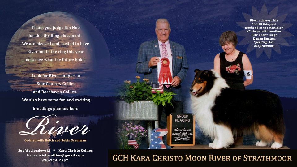 Kara Christo Collies -- GCH Kara Christo Moon River Of Strathmoor
