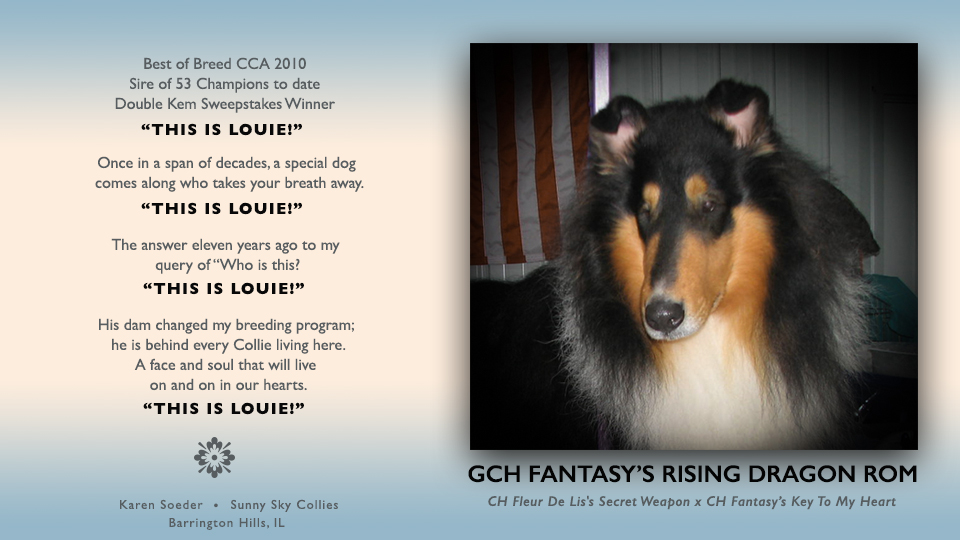 Sunny Sky Collies  -- In memory of GCH Fantasy's Rising Dragon