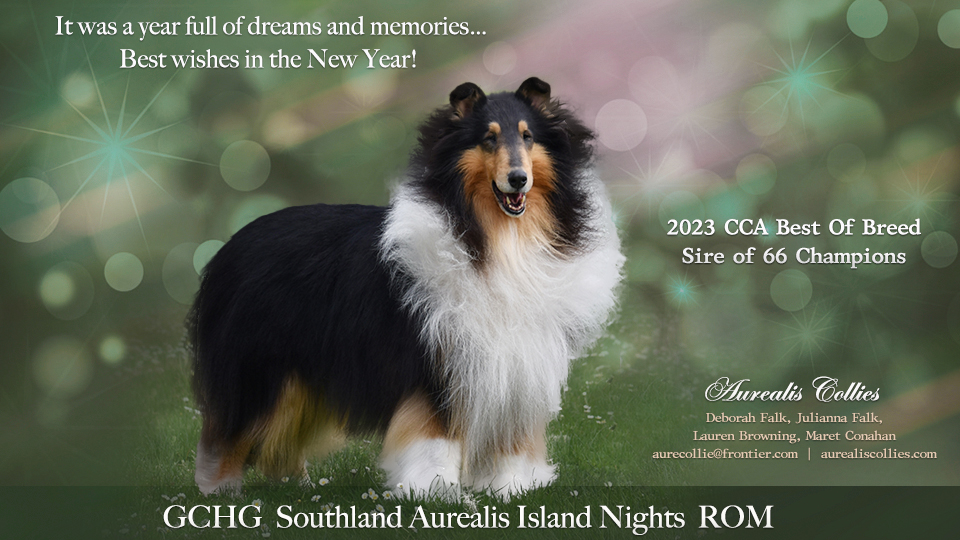 Aurealis Collies -- GCHG Southland Aurealis Island Nights ROM