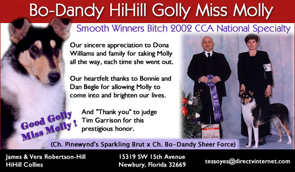 HiHill Collies -- Bo-Dandy HiHill Golly Miss Molly 