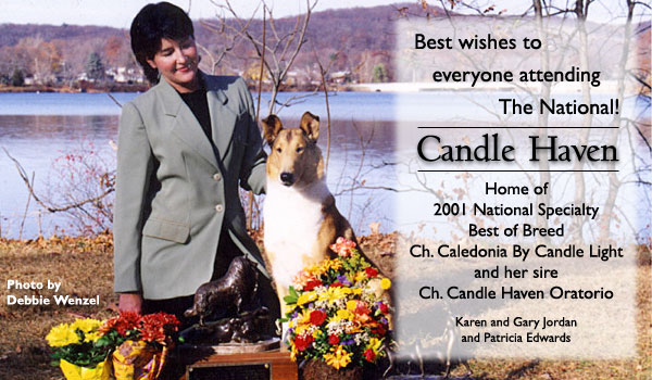 Candle Haven Collies -- Ch. Caledonia By Candle Light