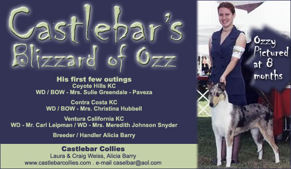 Castlebar Collies -- Castlebar's Blizzard of Ozz 
