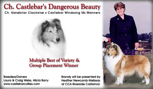 Castlebar Collies -- Ch. Castlebar's Dangerous Beauty