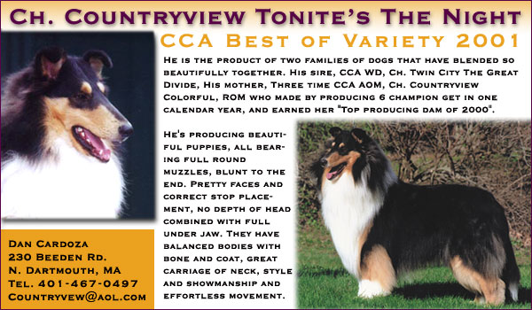 Countryview Collies -- Ch. Countryview Tonite's The Night