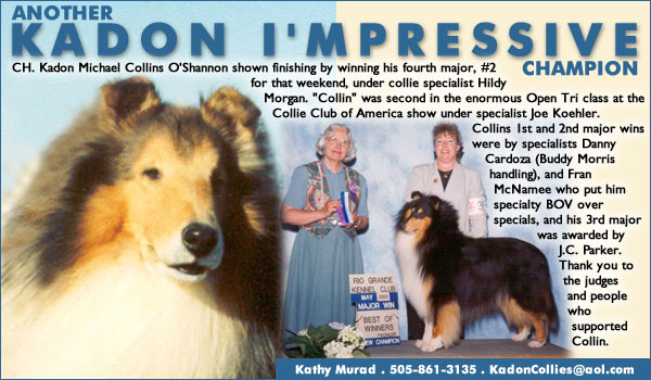 Kadon Collies -- Ch. Kadon Michael Collins O'Shannon