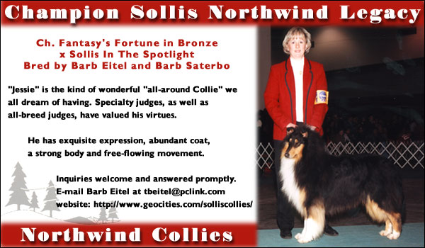 Northwind Collies -- Ch. Sollis Northwind Legacy