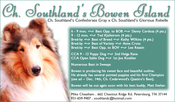Southland Collies -- Ch. Southland's Bowen Island