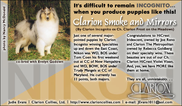 Clarion Collies -- Clarion Smoke and Mirrors
