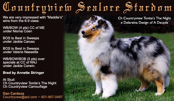 Countryview Collies -- Countryview Sealore Stardom 