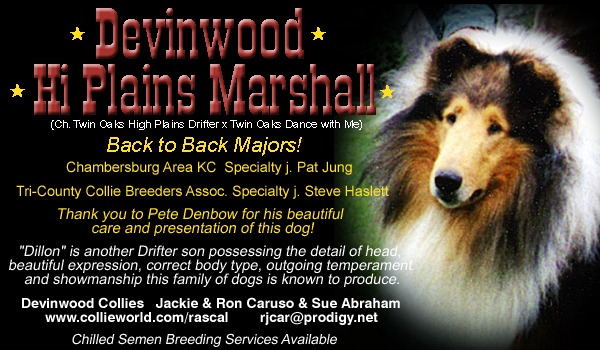 Devinwood Collies -- Devinwood Hi Plains Marshall
