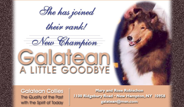 Galatean Collies -- Ch. Galatean A Little Goodbye