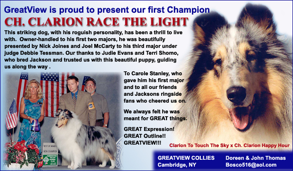 Greatview Collies -- Ch. Clarion Race The Light